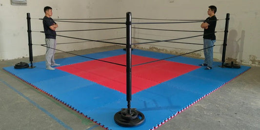 The FightBro Mini Ring: A Ring in a Box