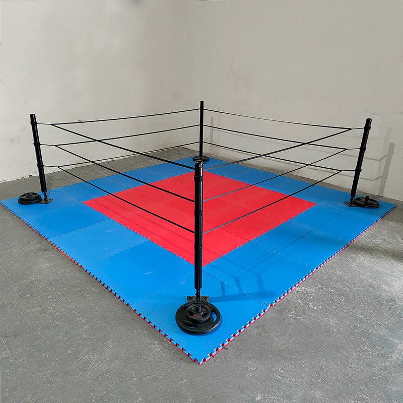 FightBro Mini Boxing Ring – Compact, Portable, and Easy to Setup