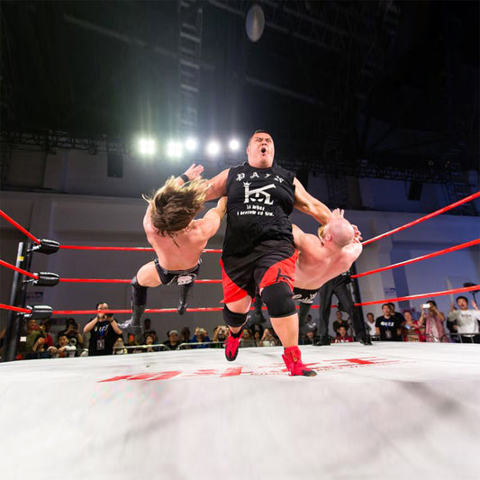 FightBro Pro Wrestling Ring