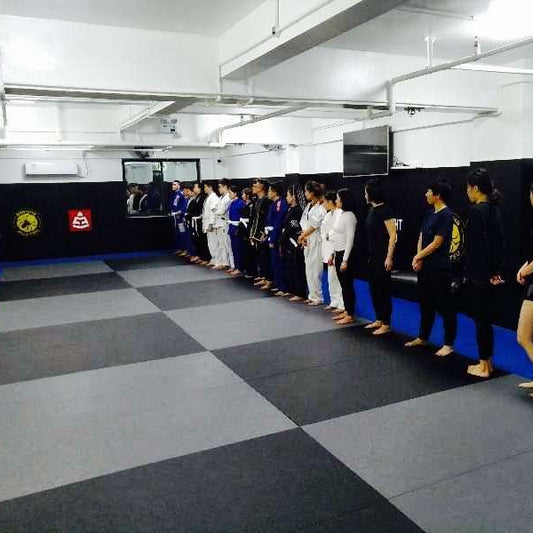 C230 Judo Tatami Mat