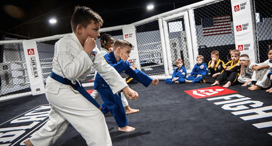Elite Octagon Elevated Cage