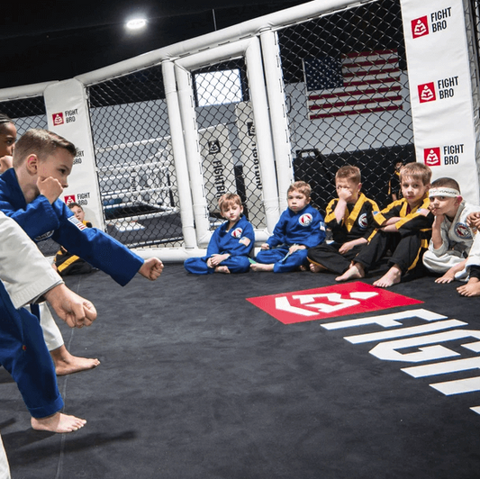 Elite MMA Elevated Cage