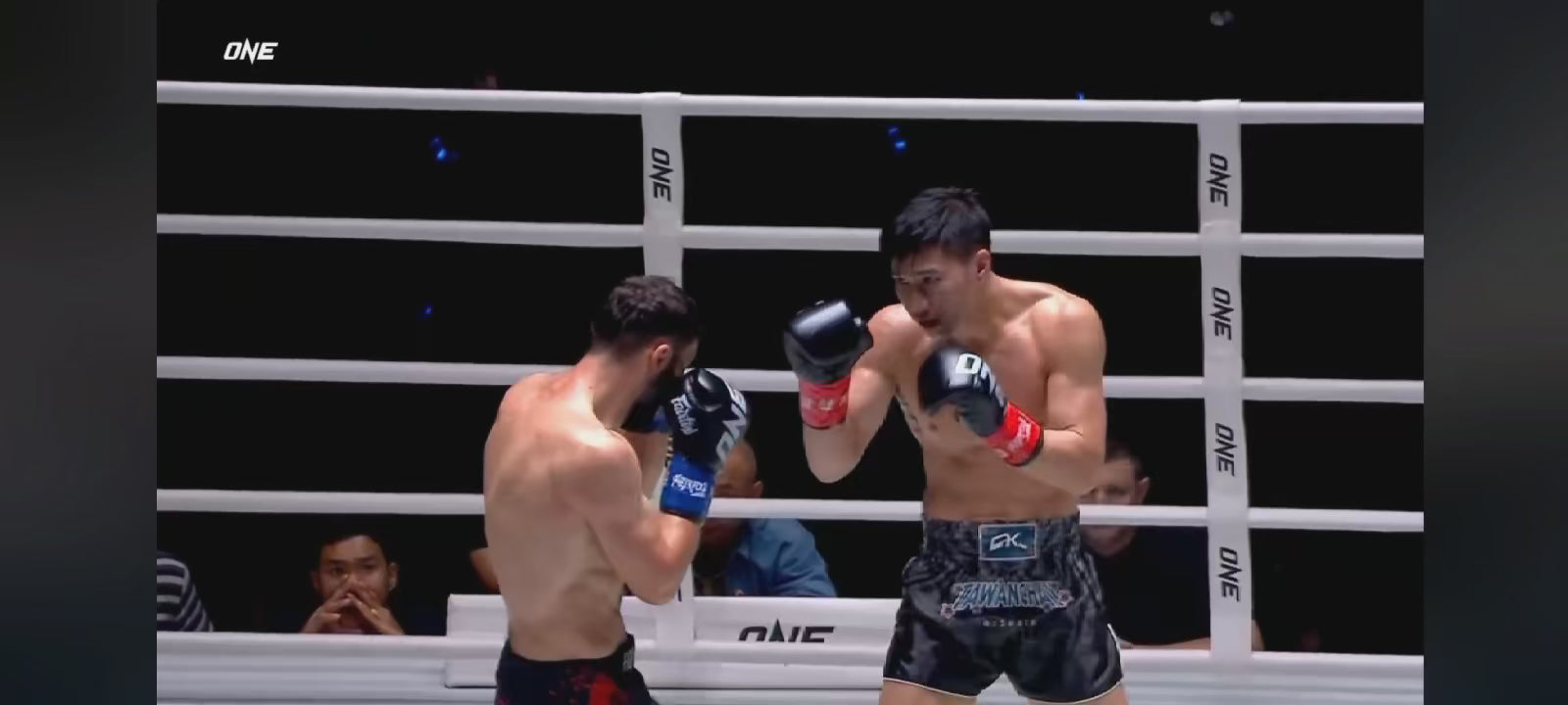 FightBro MMA Ring