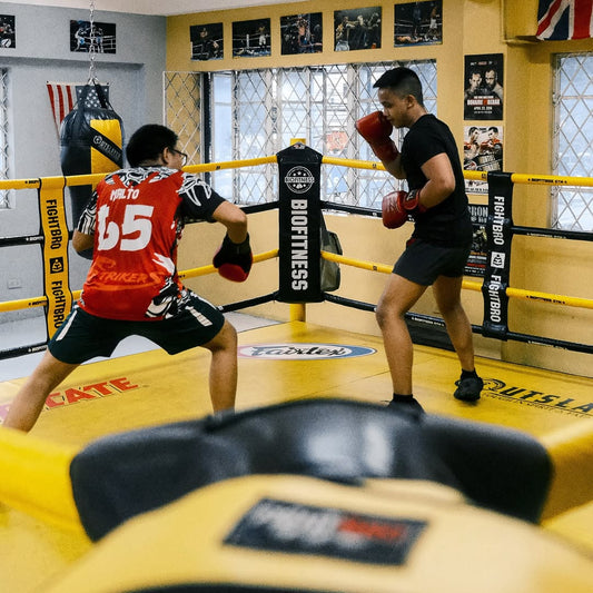 FightBro Boxing Ring